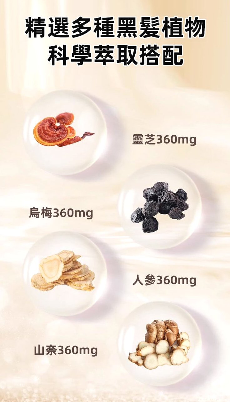 靈芝烏黑片&copy;萃品匯